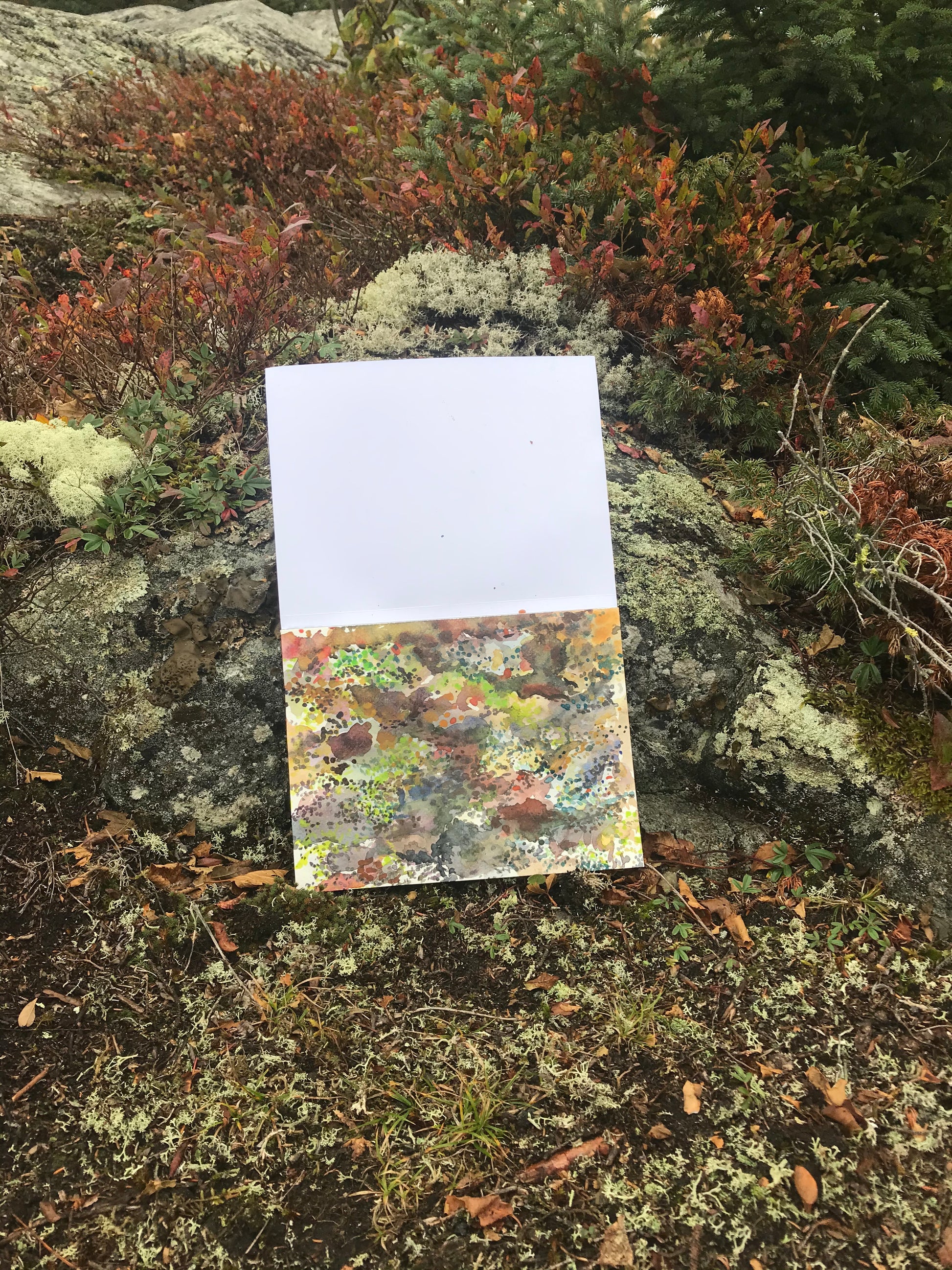 Earth Floor, watercolour painting - Pike Lake Forge