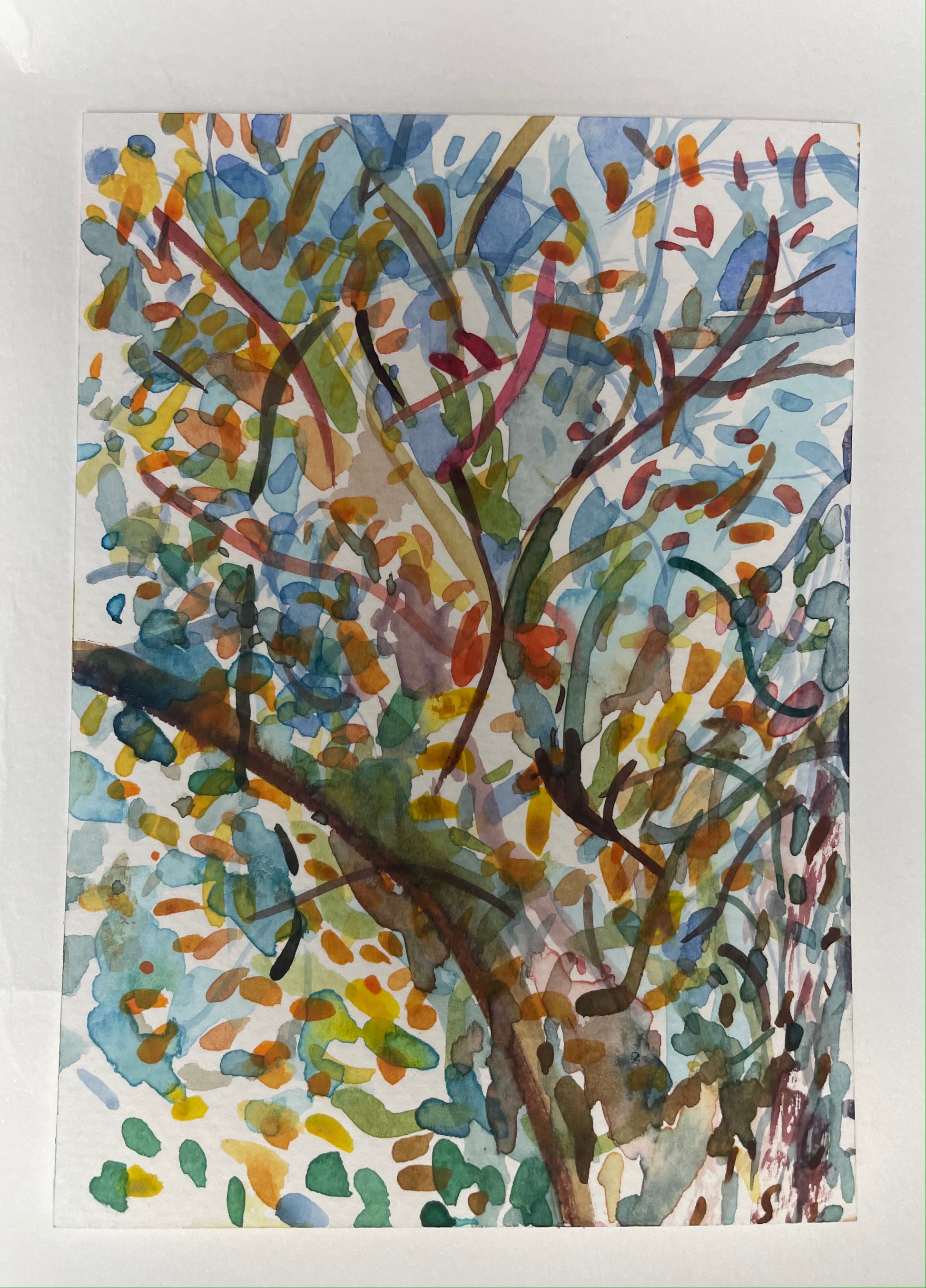 Dancing Trees, watercolour painting - Pike Lake Forge