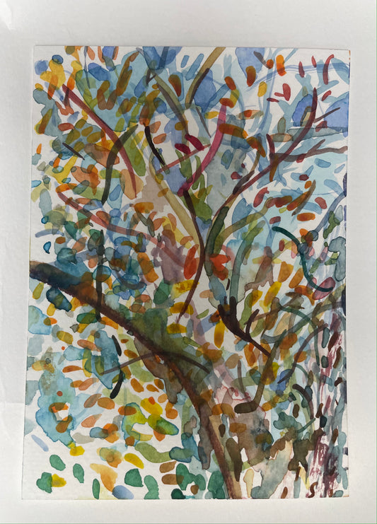 Dancing Trees, watercolour painting - Pike Lake Forge